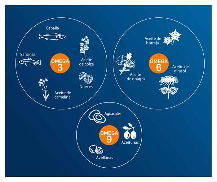 Omega 3 omega 6 y omega 9 cidos grasos necesarios PiLeJe