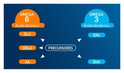 Omega 3 omega 6 y omega 9 cidos grasos necesarios PiLeJe