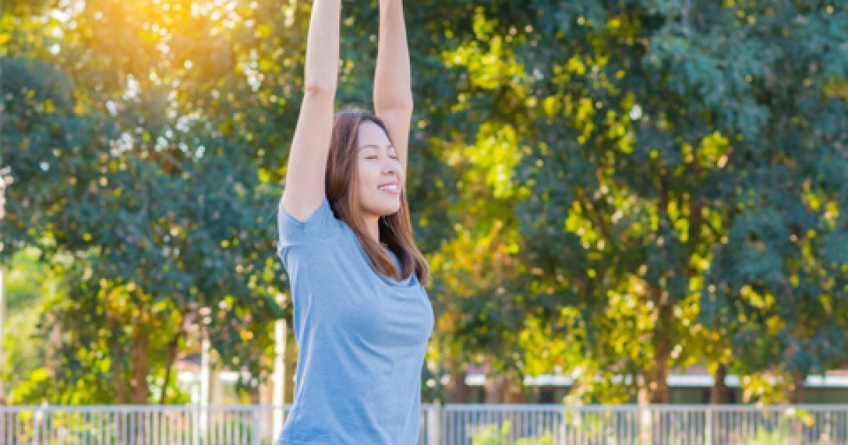 Fitoterapia: las plantas adaptógenas para combatir el estrés